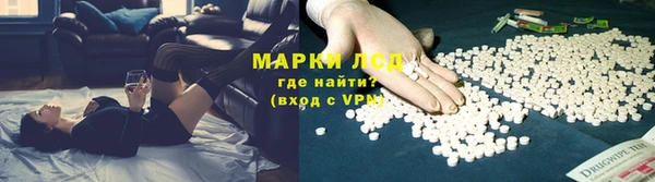 a pvp Белокуриха