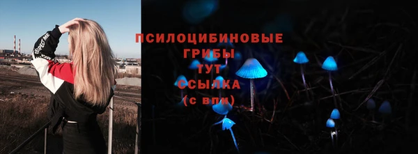 мяу мяу мука Беломорск