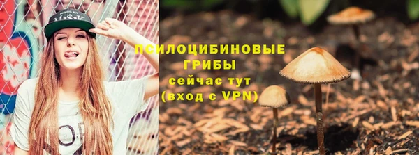 a pvp Белокуриха