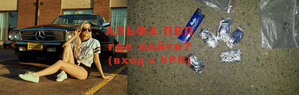 a pvp Белокуриха