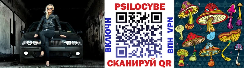 mega зеркало  Дюртюли  дарк нет состав  Галлюциногенные грибы прущие грибы 